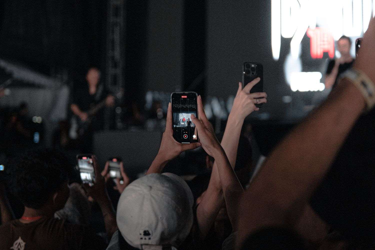 Concertgoers at a hardcore metal festival