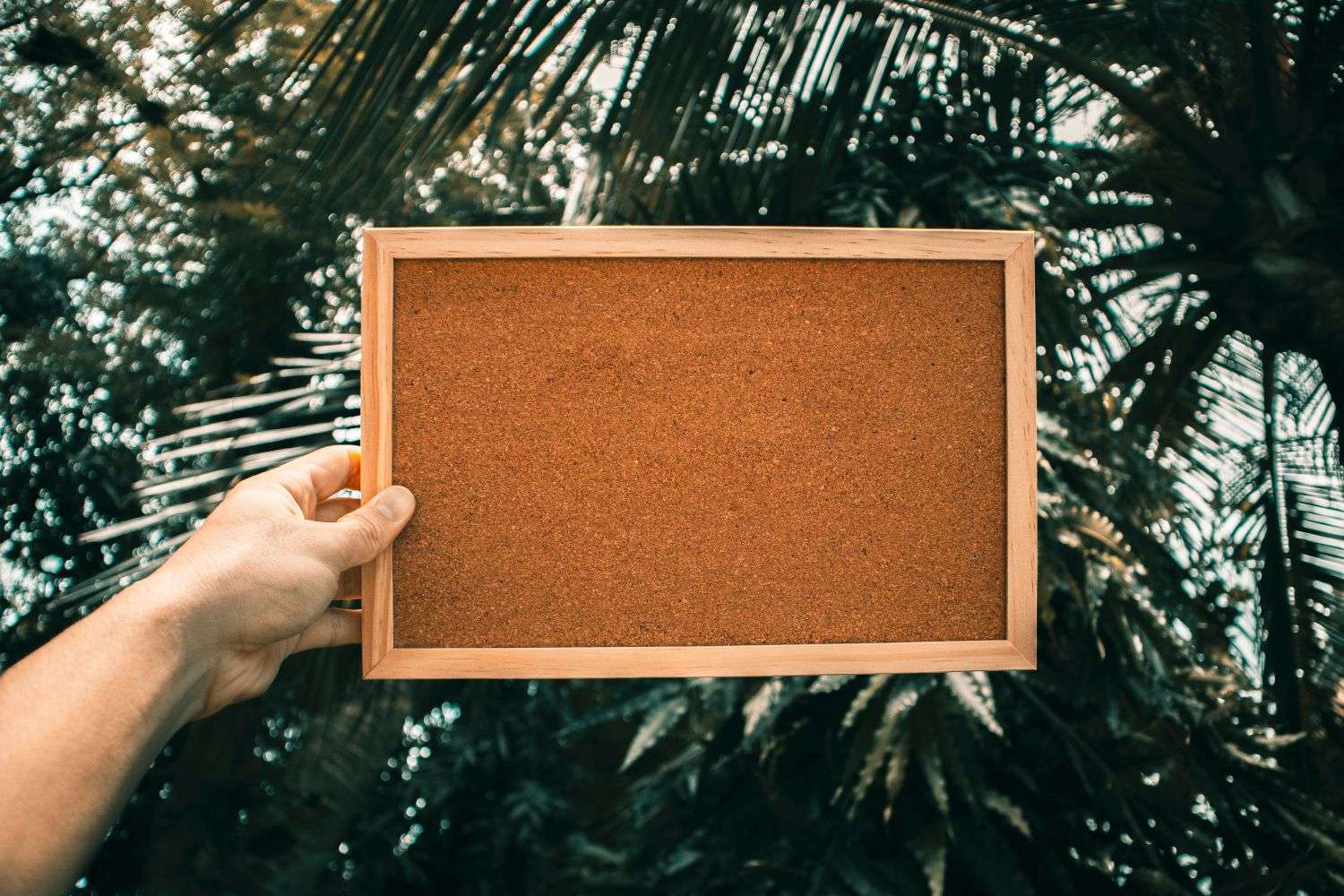 A community bulletin board with posted notices