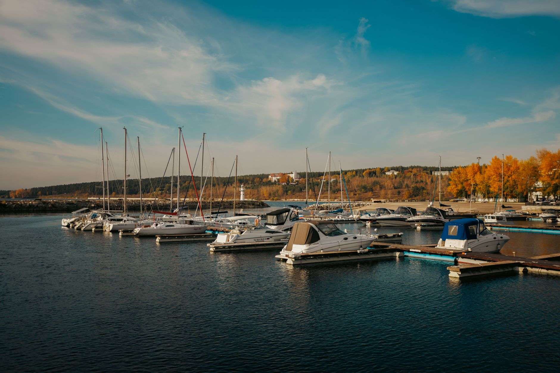 Boats docked at a waterfront marina
