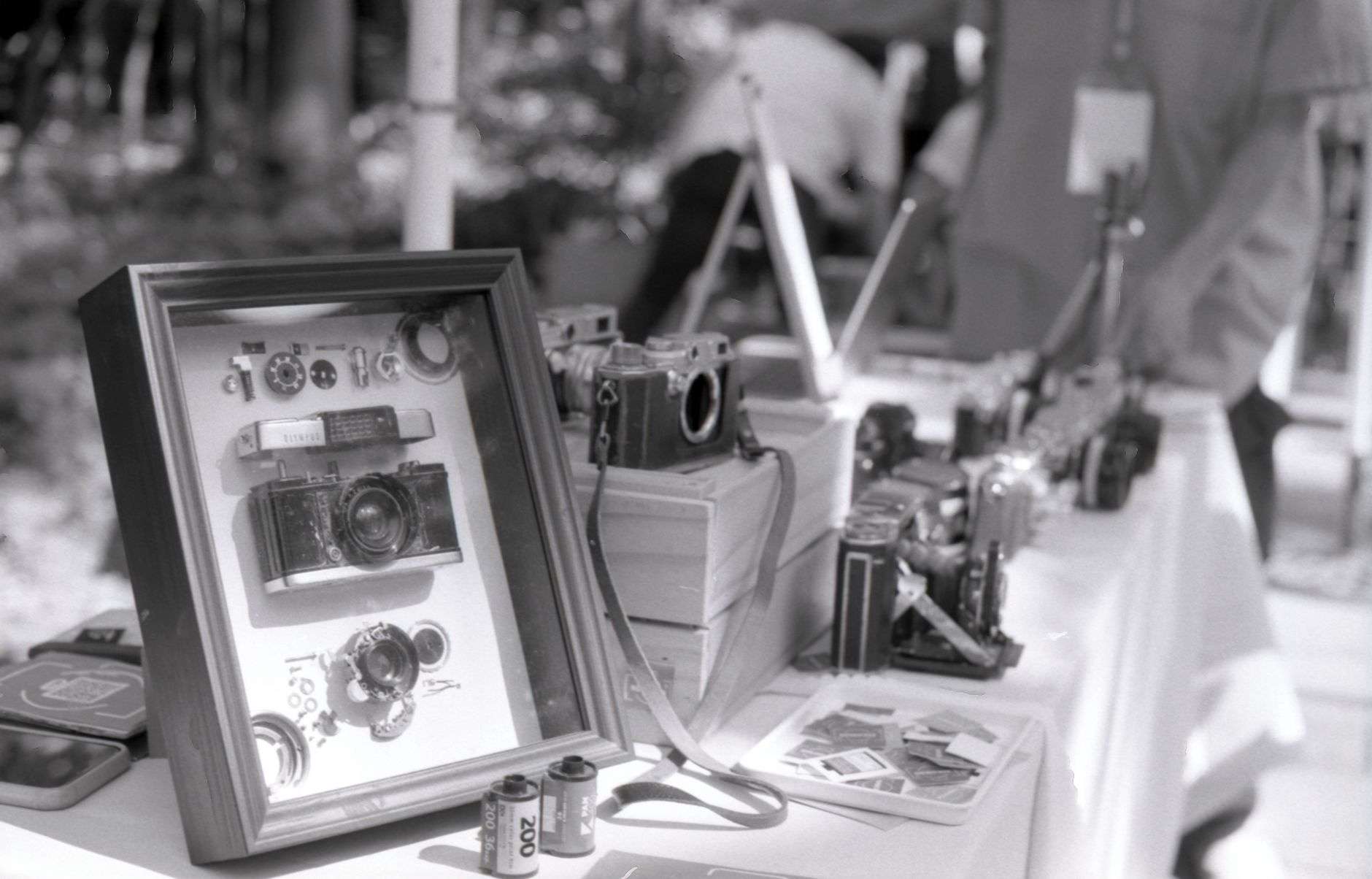 Framed photographs on a gallery wall