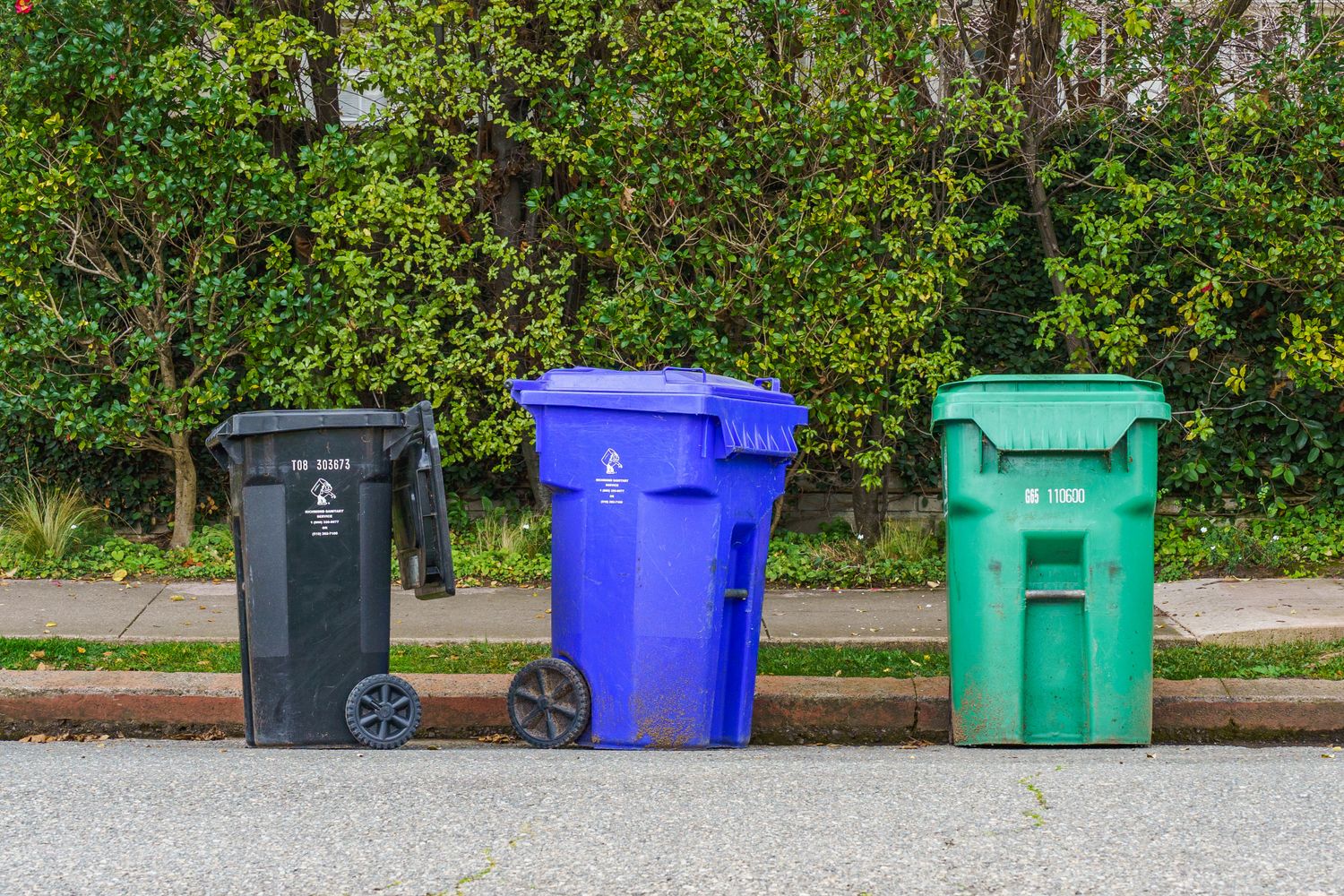 Recycling bins at the curb in a Mobile, Alabama neighborhood