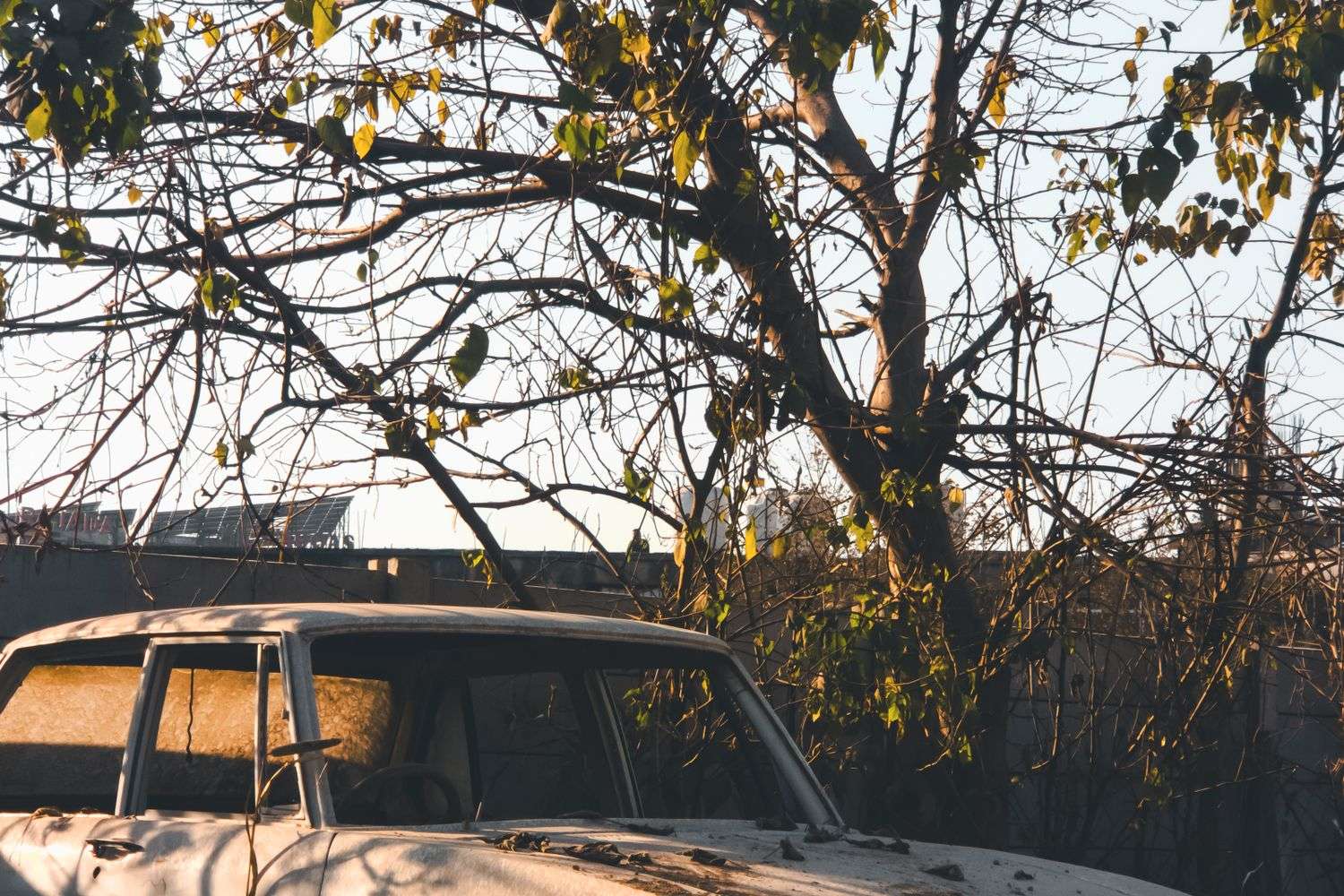 An abandoned car on a property