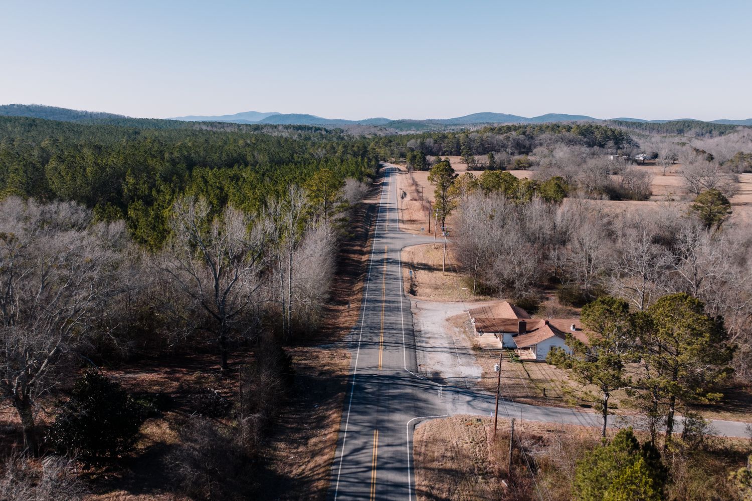 A quiet wooded road through a rural Alabama forest