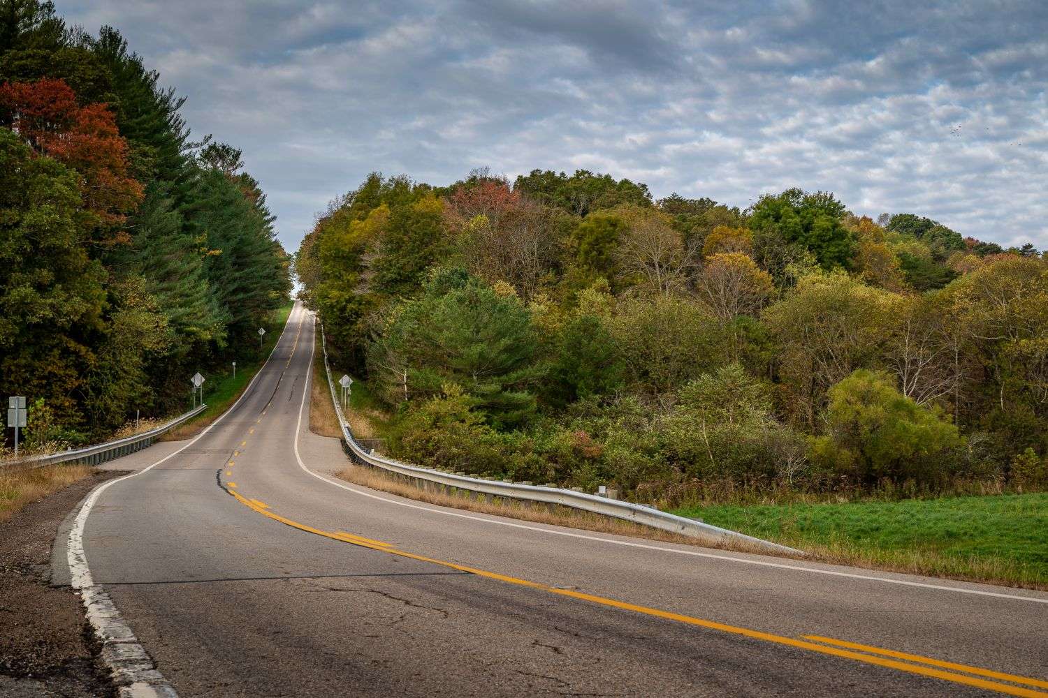 A narrow rural road bordered by trees
