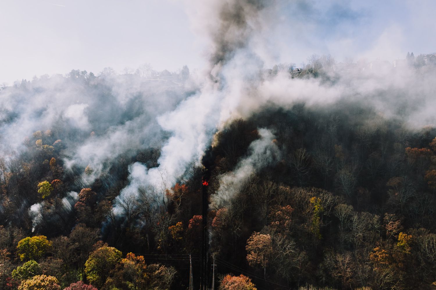 Column of smoke drifting up from a tree-covered area