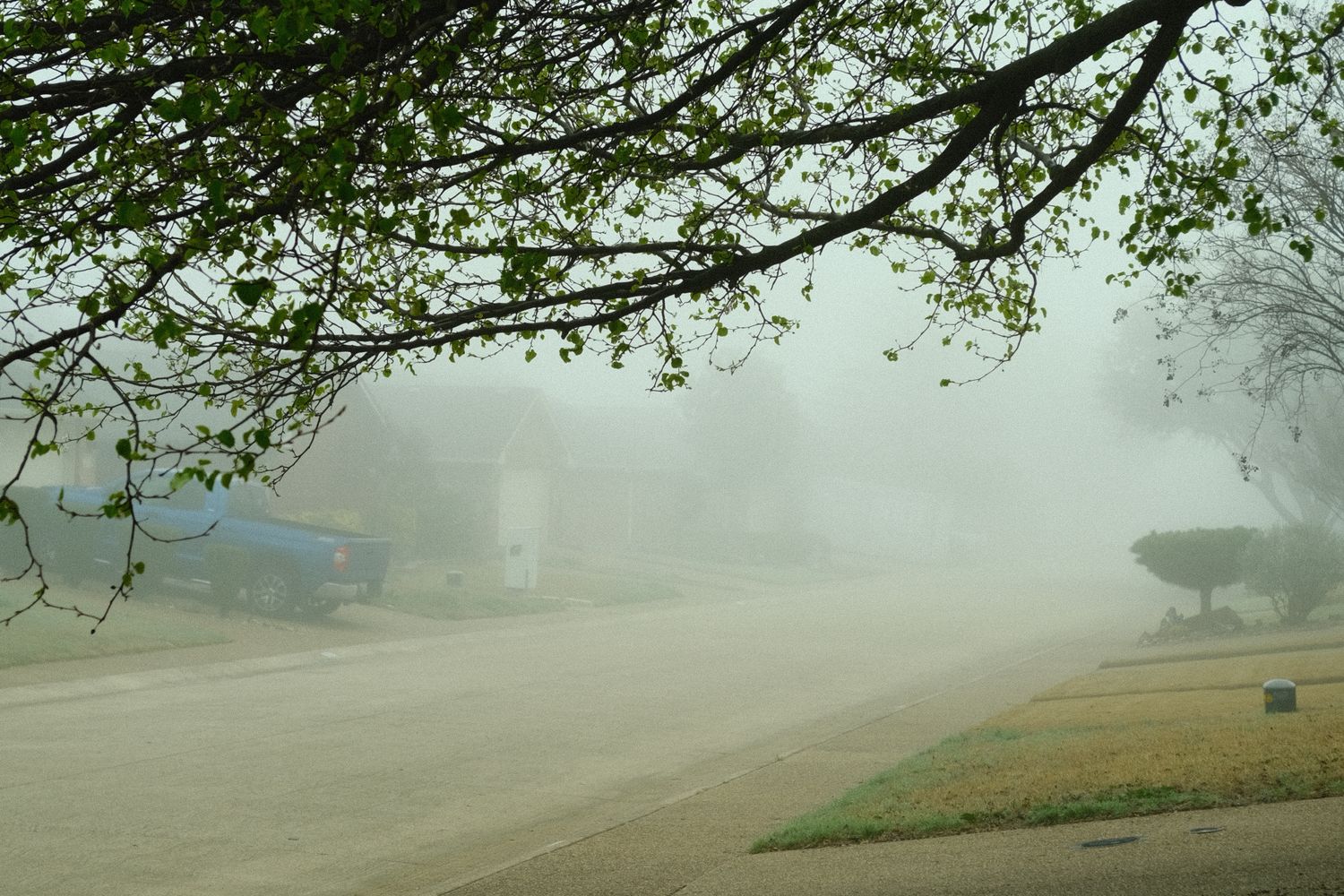 A quiet residential stretch of Old Shell Road in Mobile, Alabama