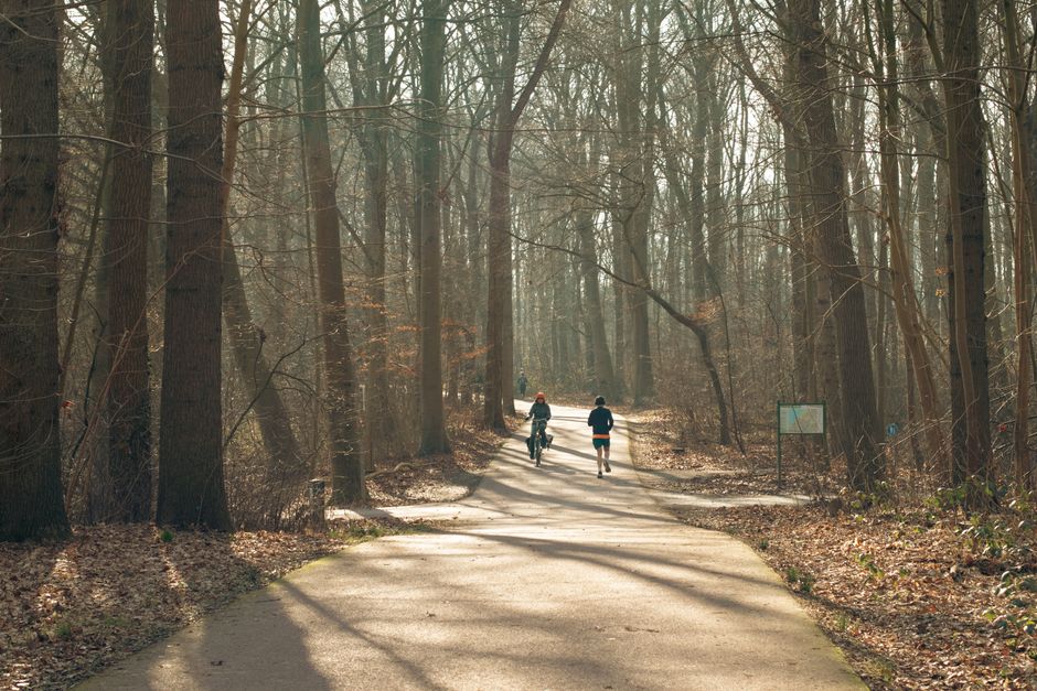 A person exercising outdoors on a walking trail, part of a fall fitness challenge