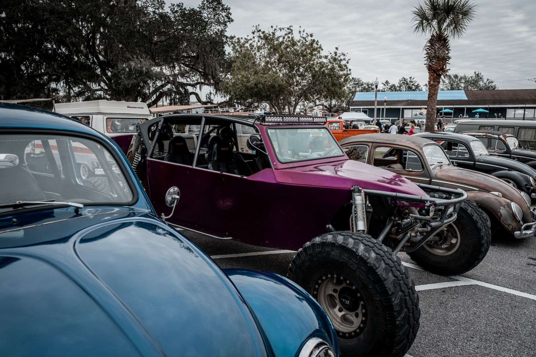 Rows of classic cars on display at an outdoor beach festival