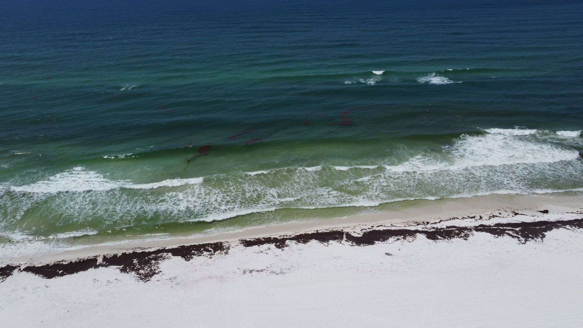 Sunny beach along the Gulf Coast