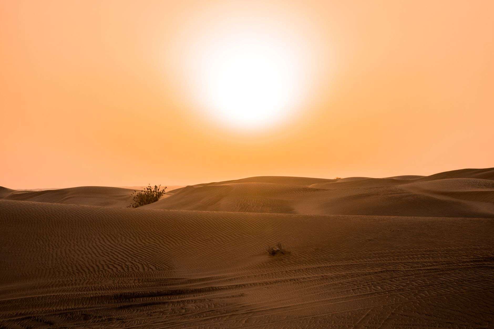 Bright hot sun over a summer sky representing a heat wave