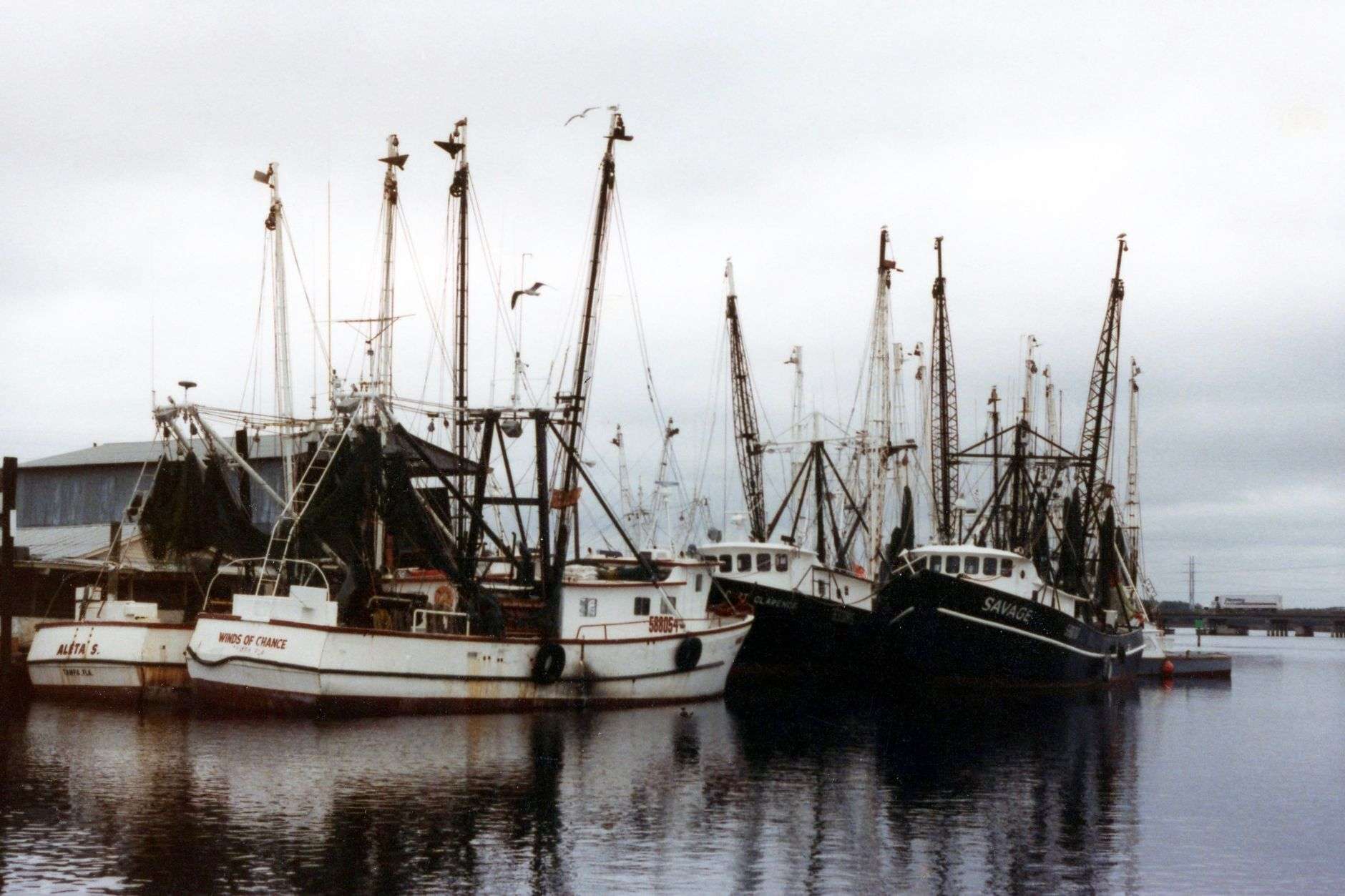 A shrimp boat off the Gulf Coast at sunset