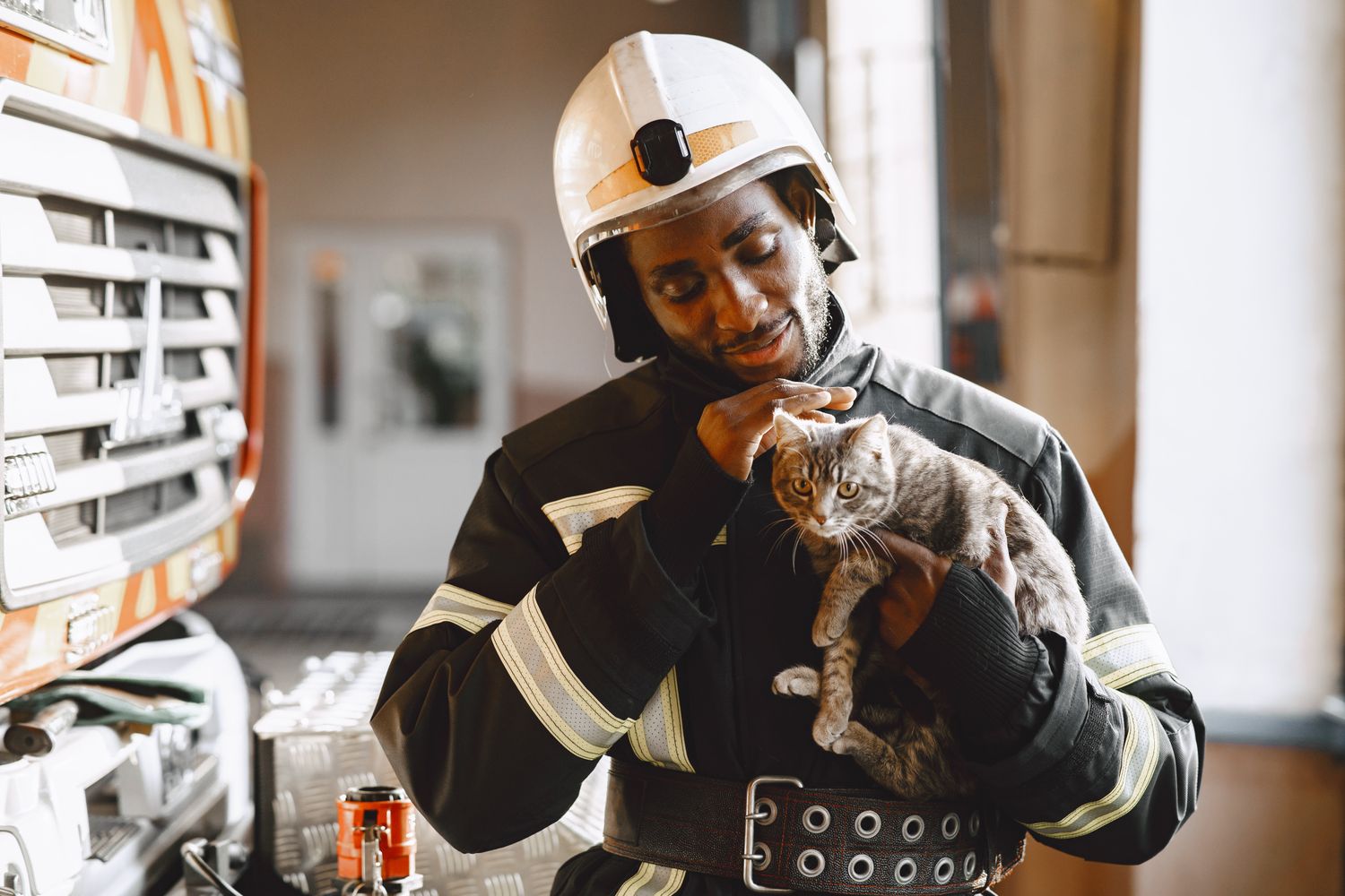 Firefighter on a ladder rescuing a cat from a tree