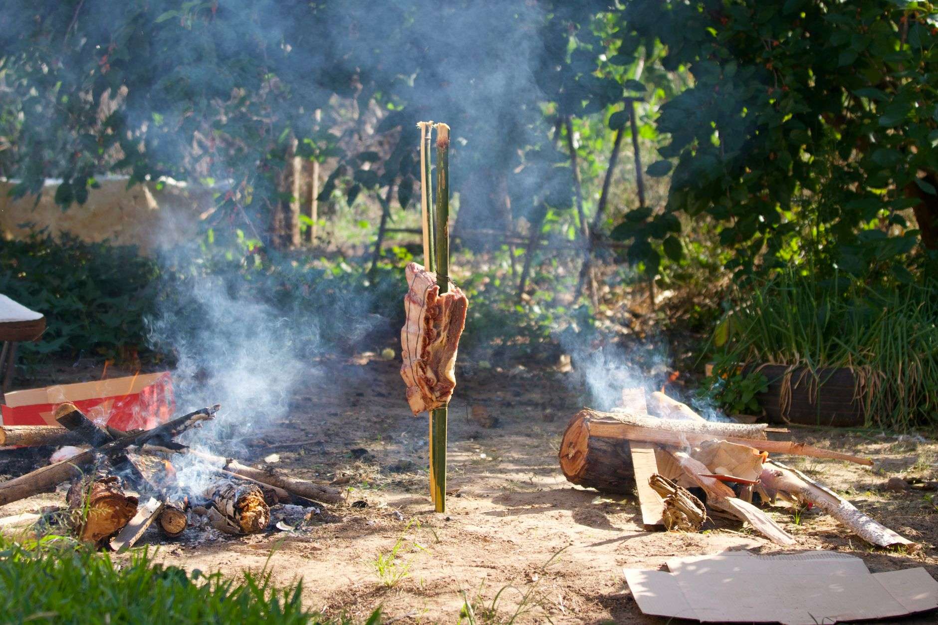 A dish of grilled wild game food prepared for an outdoor cooking competition