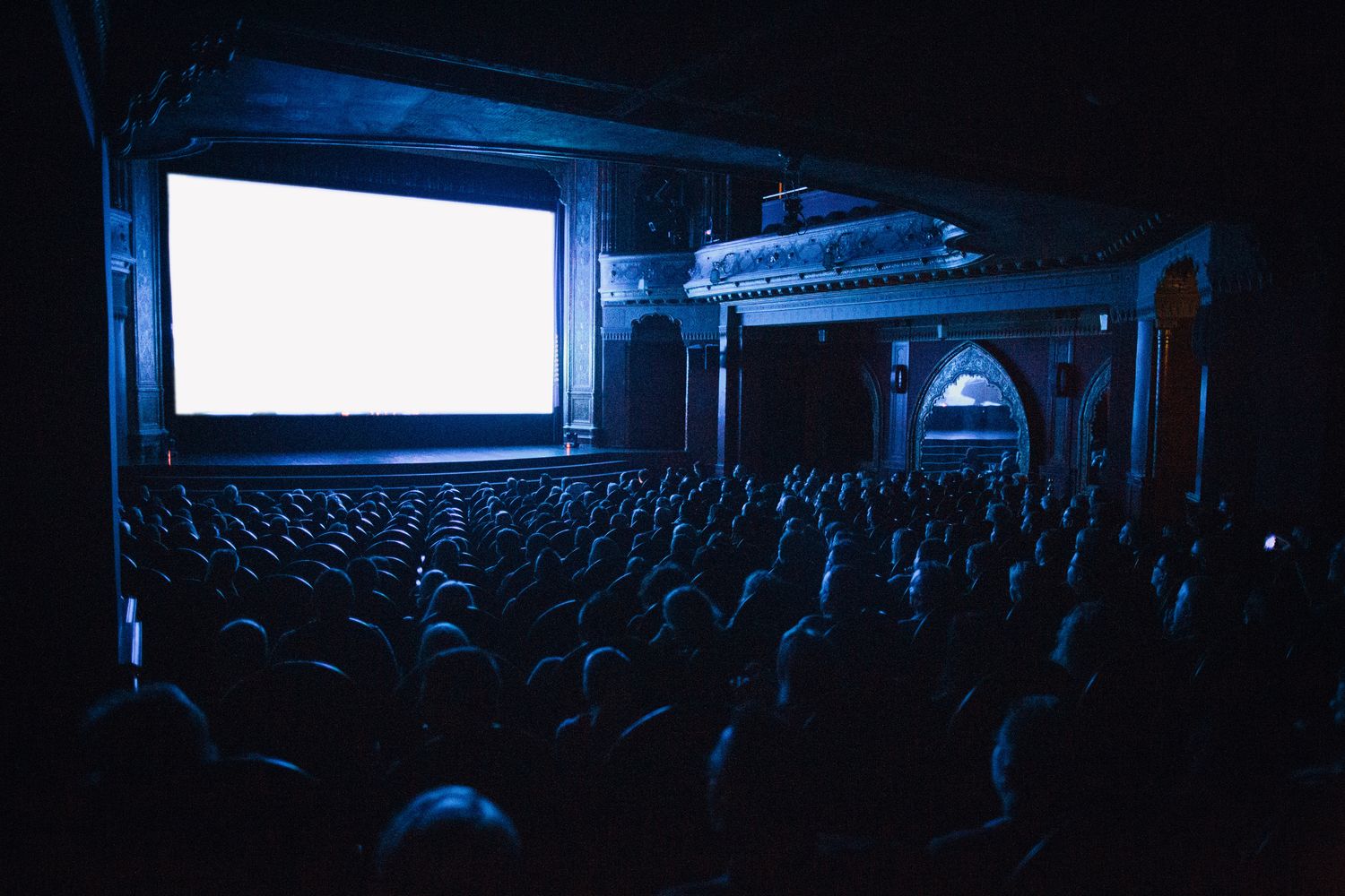 Moviegoers watching a documentary film inside a dimly lit theater