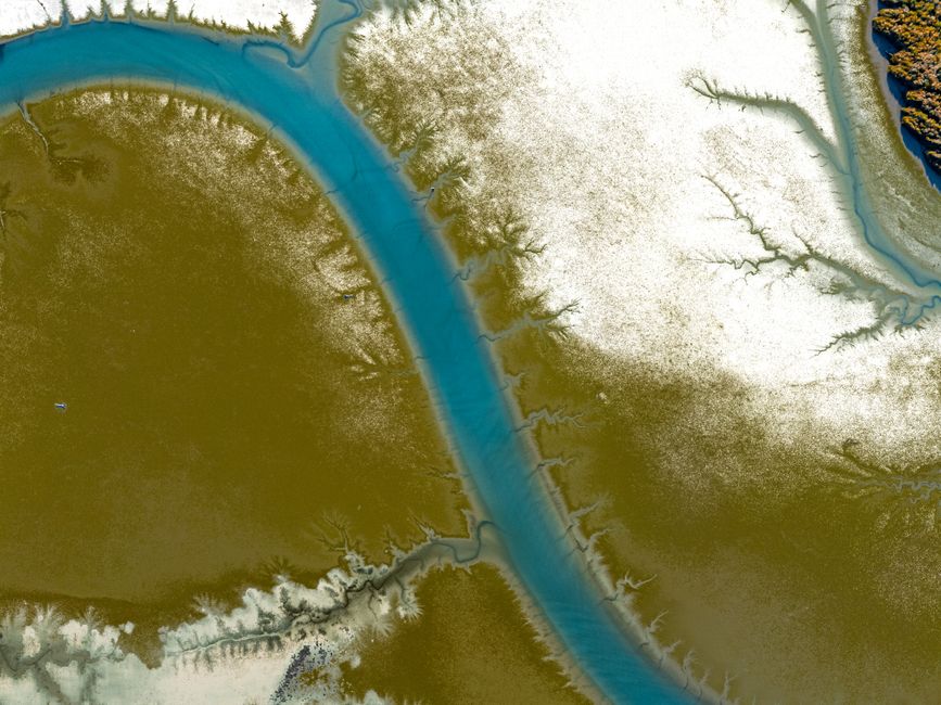Winding river channels and green wetlands of the Mobile-Tensaw Delta