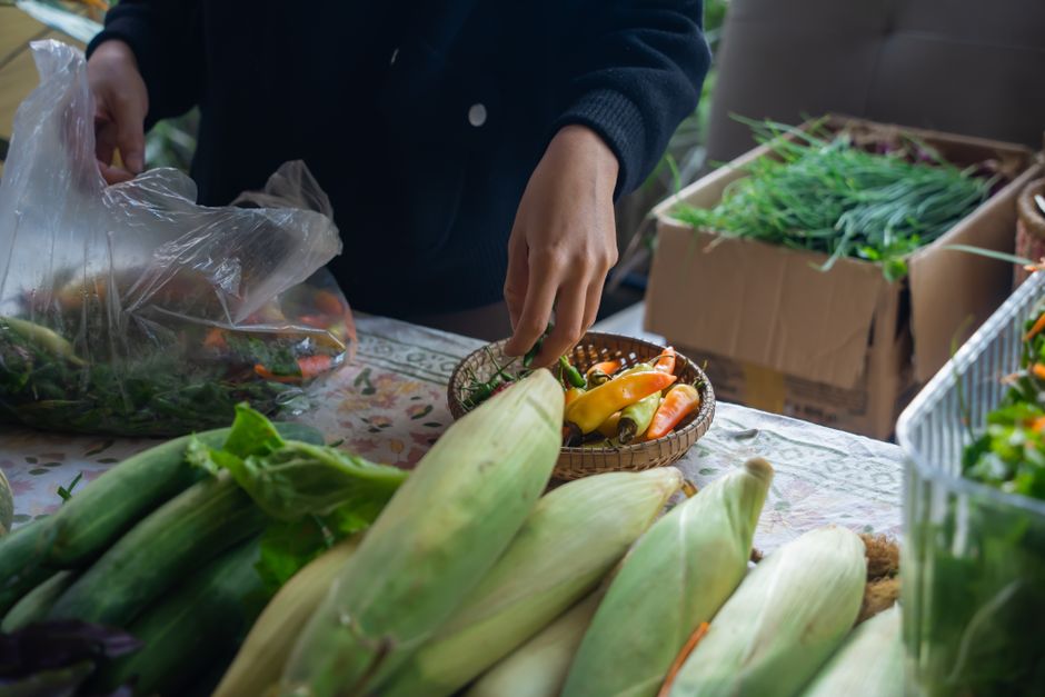 Freshly picked sweet corn piled high at a roadside farm market