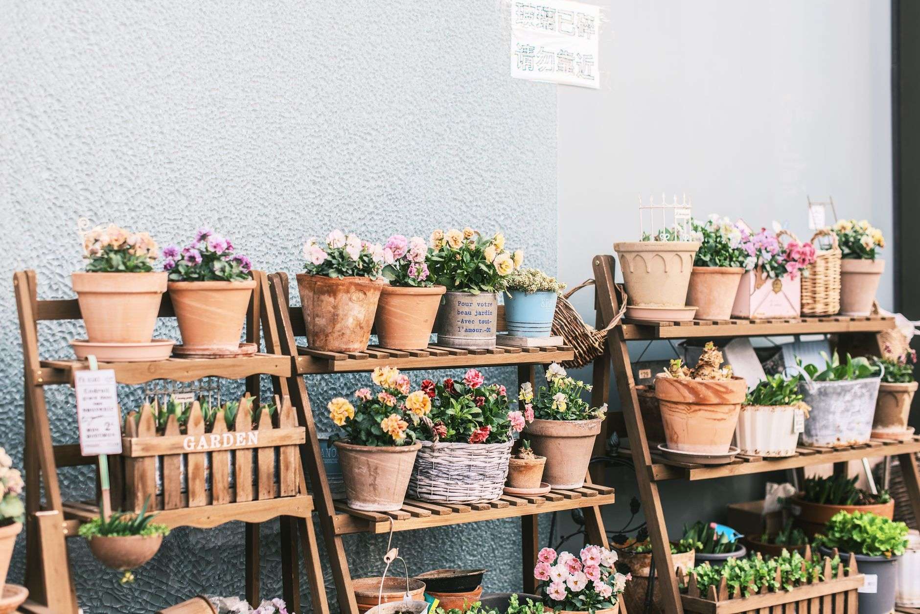 Rows of colorful potted flowers and greenery at a garden center