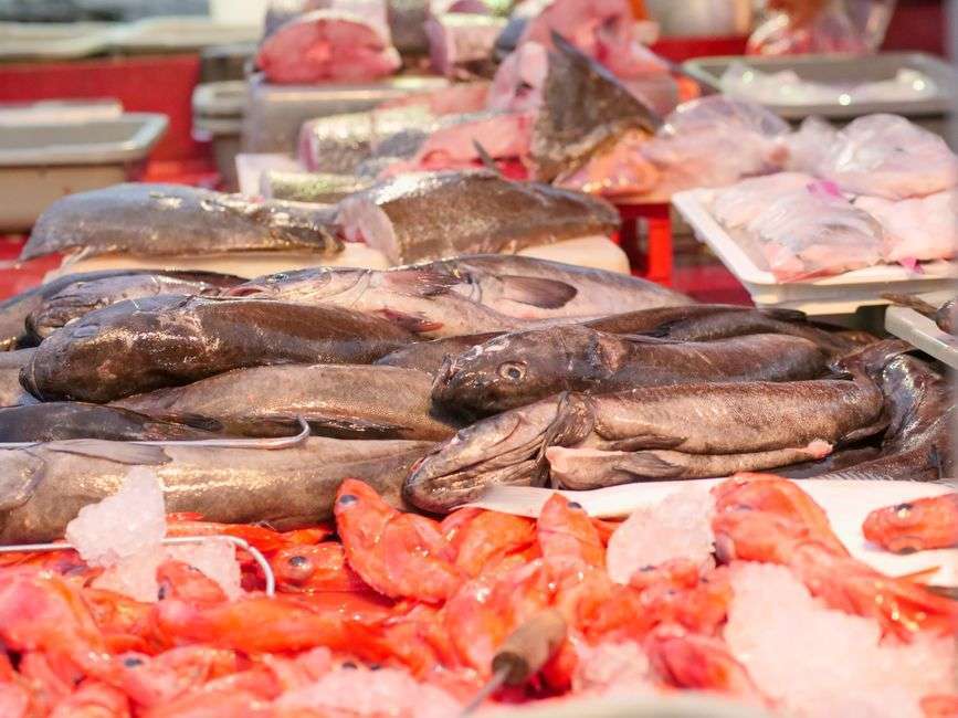 Fresh whole fish displayed on ice at a seafood market counter