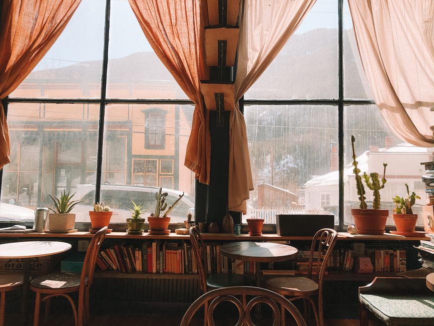 Interior of a cozy independent bookstore with tall shelves of books
