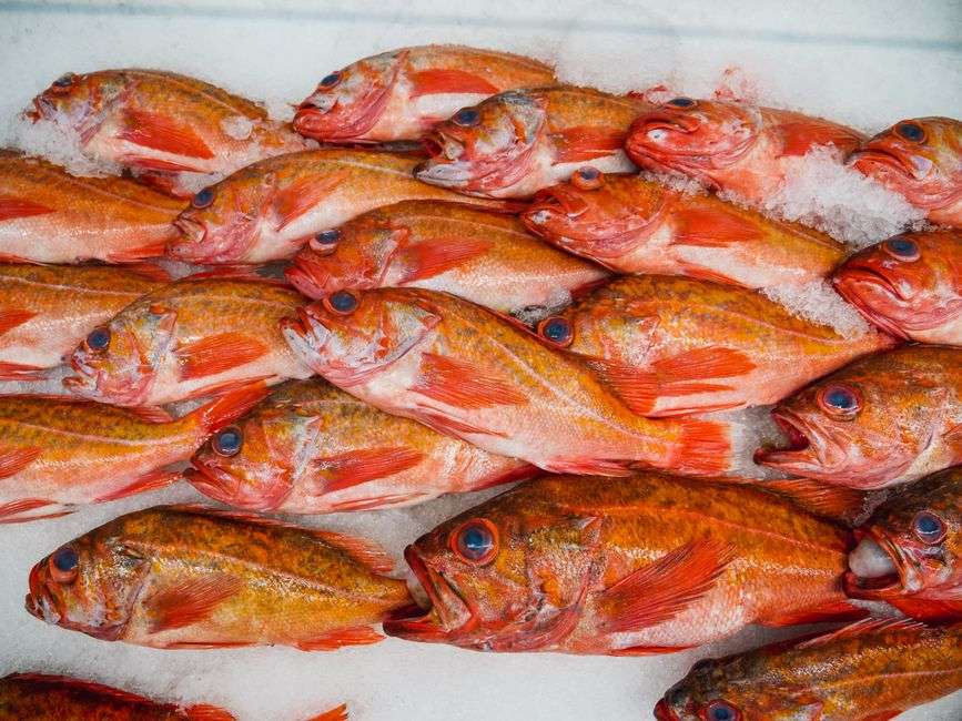 Fresh whole fish and seafood displayed on crushed ice at a market