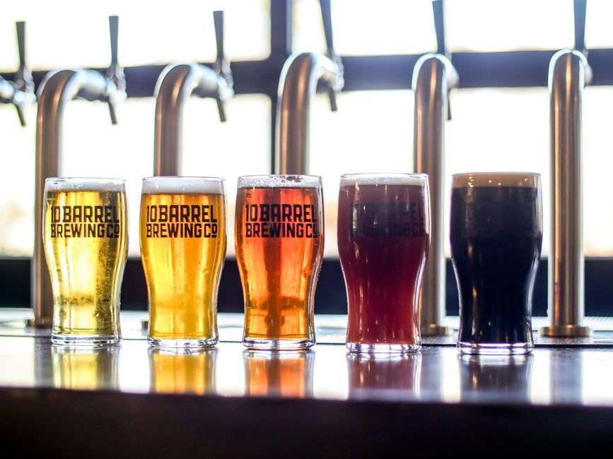 Glasses of craft beer on a brewery taproom counter