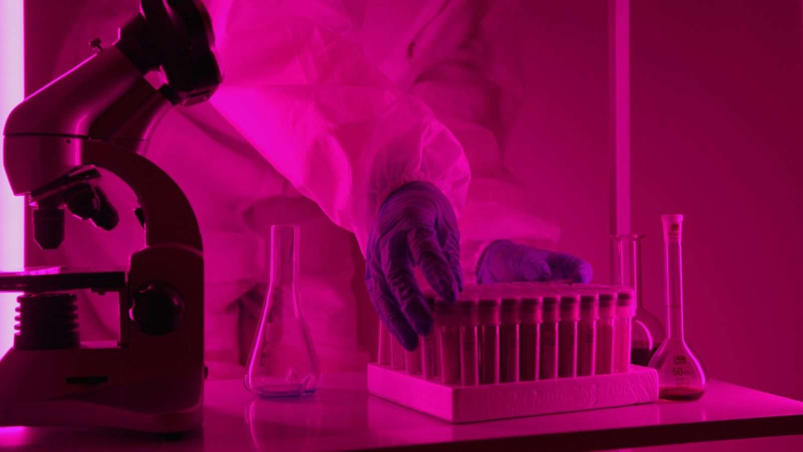 A laboratory setting with a microscope, glass flasks, and a rack of test tubes under magenta lighting
