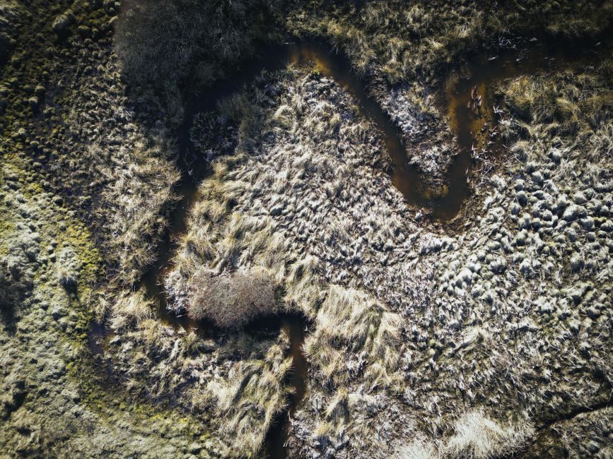 An aerial view of coastal wetlands with a winding creek