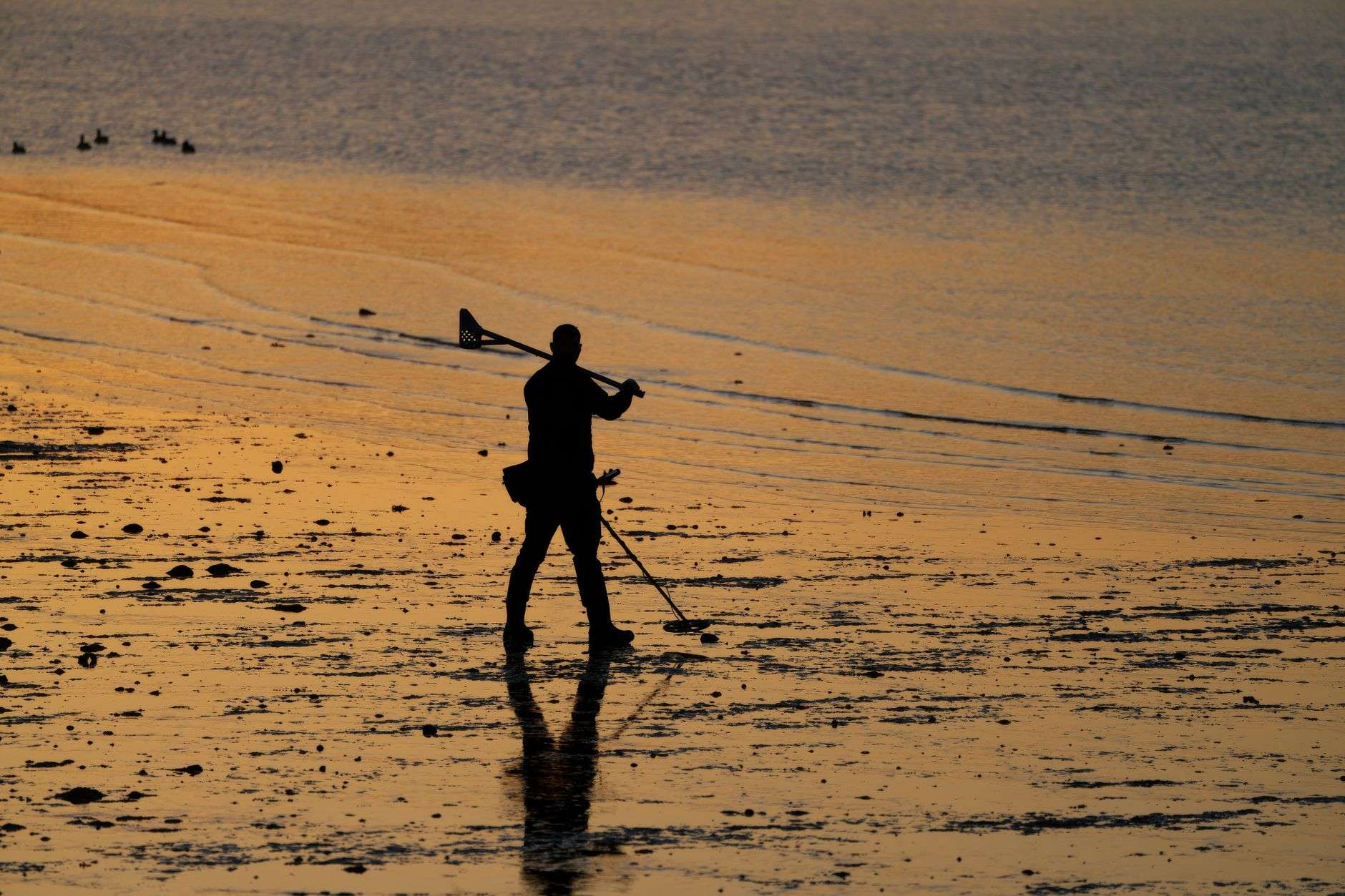 Person using a metal detector on a sandy beach, illustrating Gulf Coast searchers who find lost jewelry