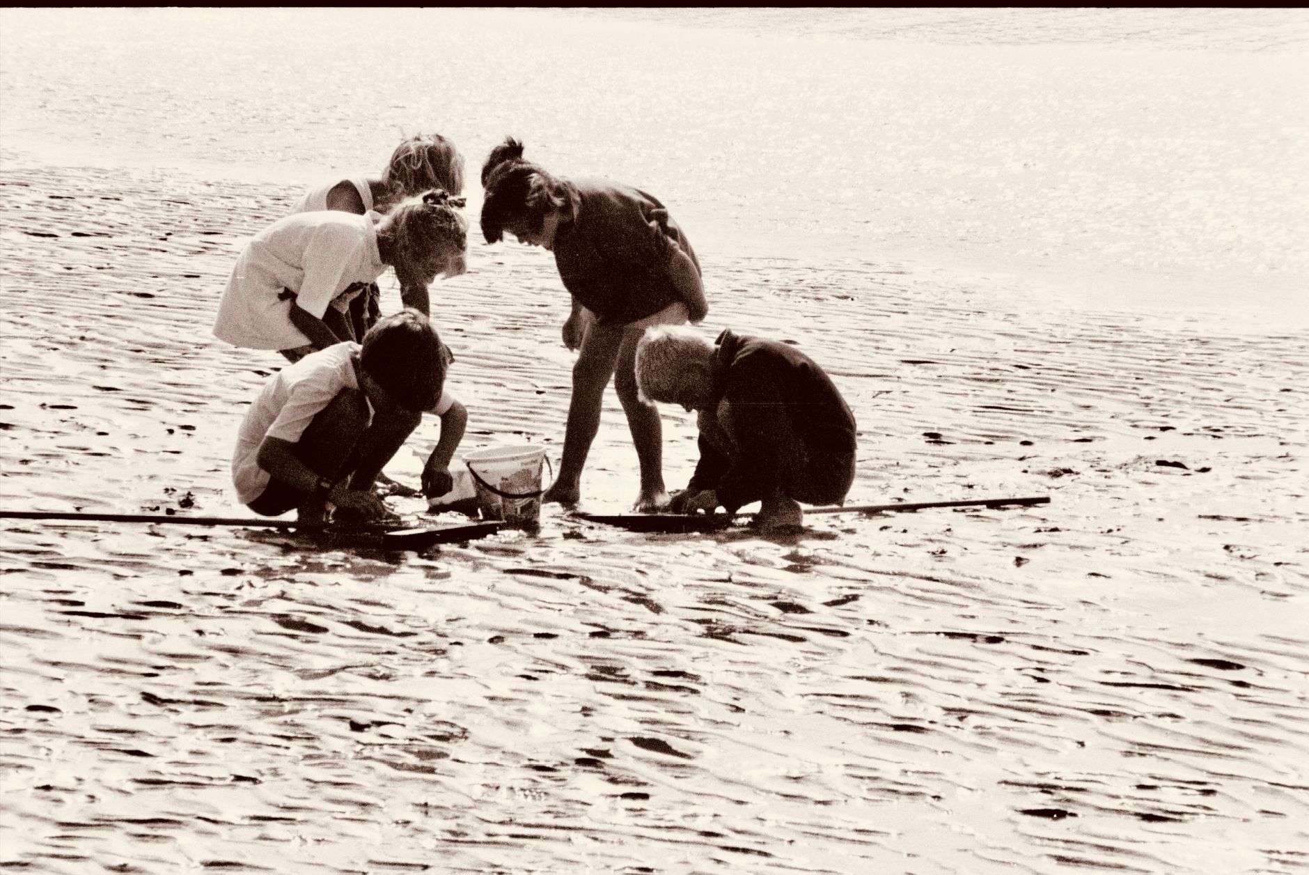 Children gathered on a sandy beach shoreline taking part in an outdoor science lesson