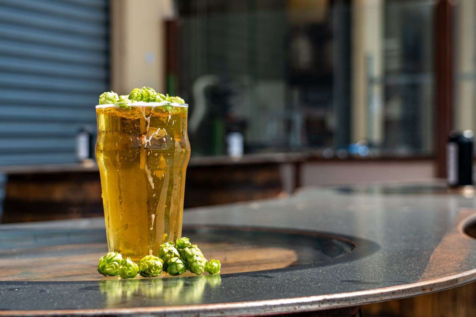 Glass of golden lager beer on a brewery bar