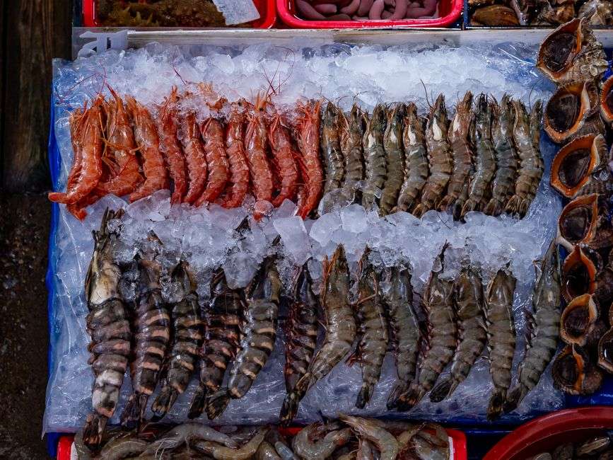 Baskets of fresh shrimp on ice at a working seafood market on the Alabama coast