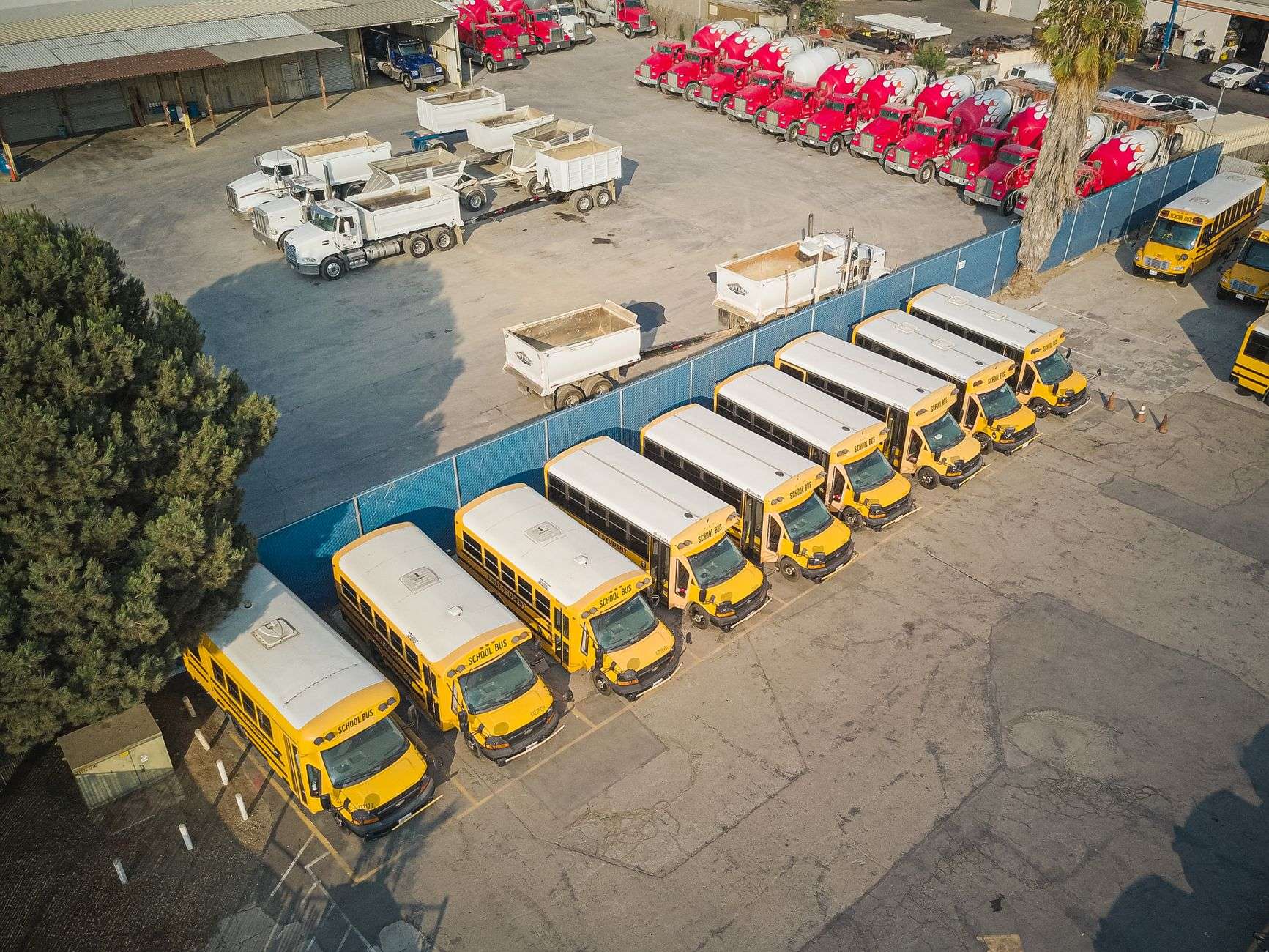 A row of yellow school buses parked in a lot