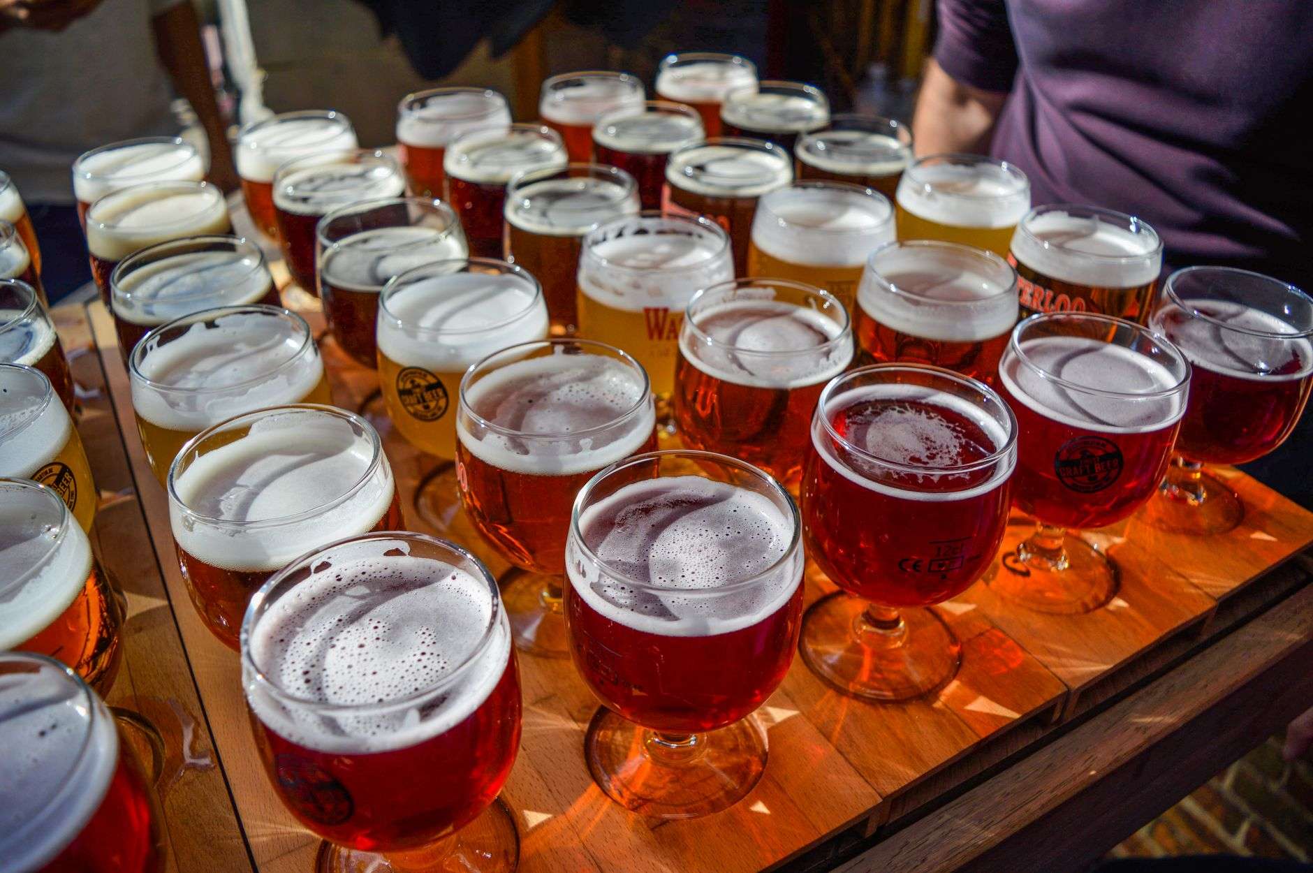 Hands hold small glasses of amber craft beer at an outdoor tasting festival