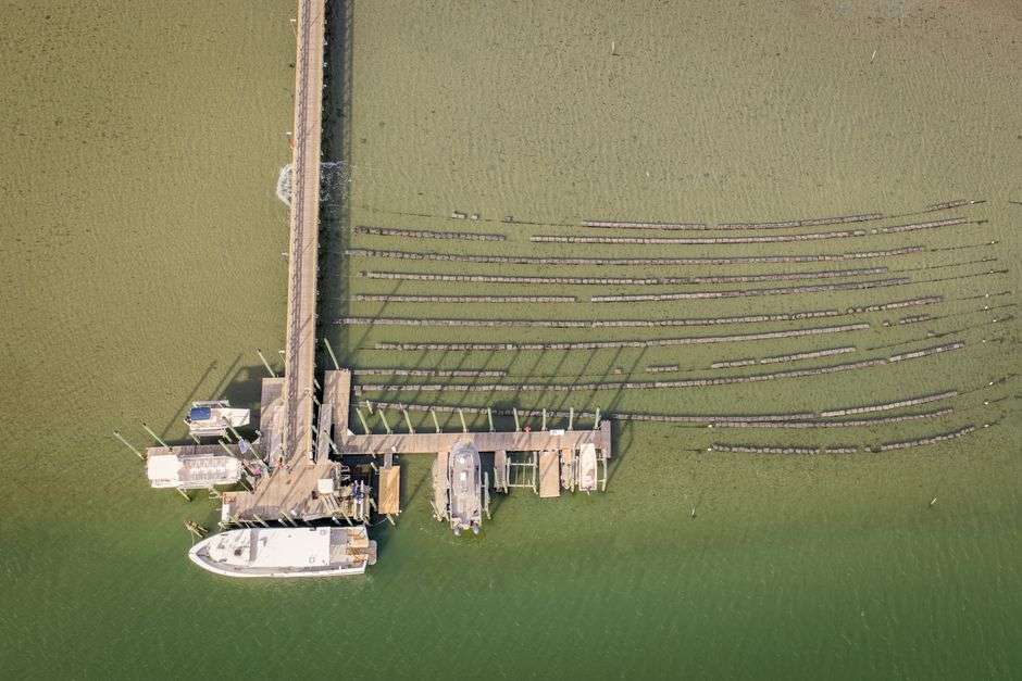 A dock stretching over calm coastal bay waters
