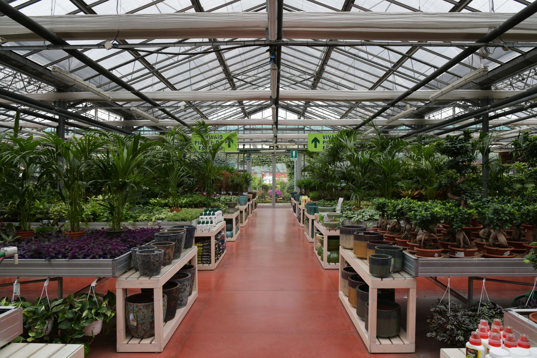 Rows of potted plants and gardening supplies at a neighborhood garden store
