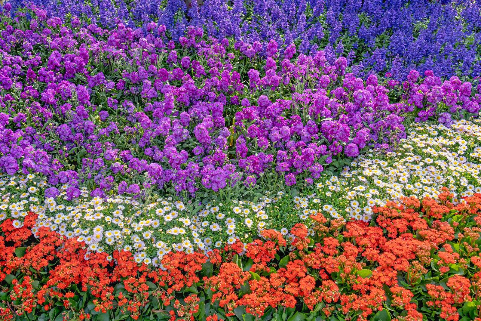 Colorful flower beds in a landscaped public park