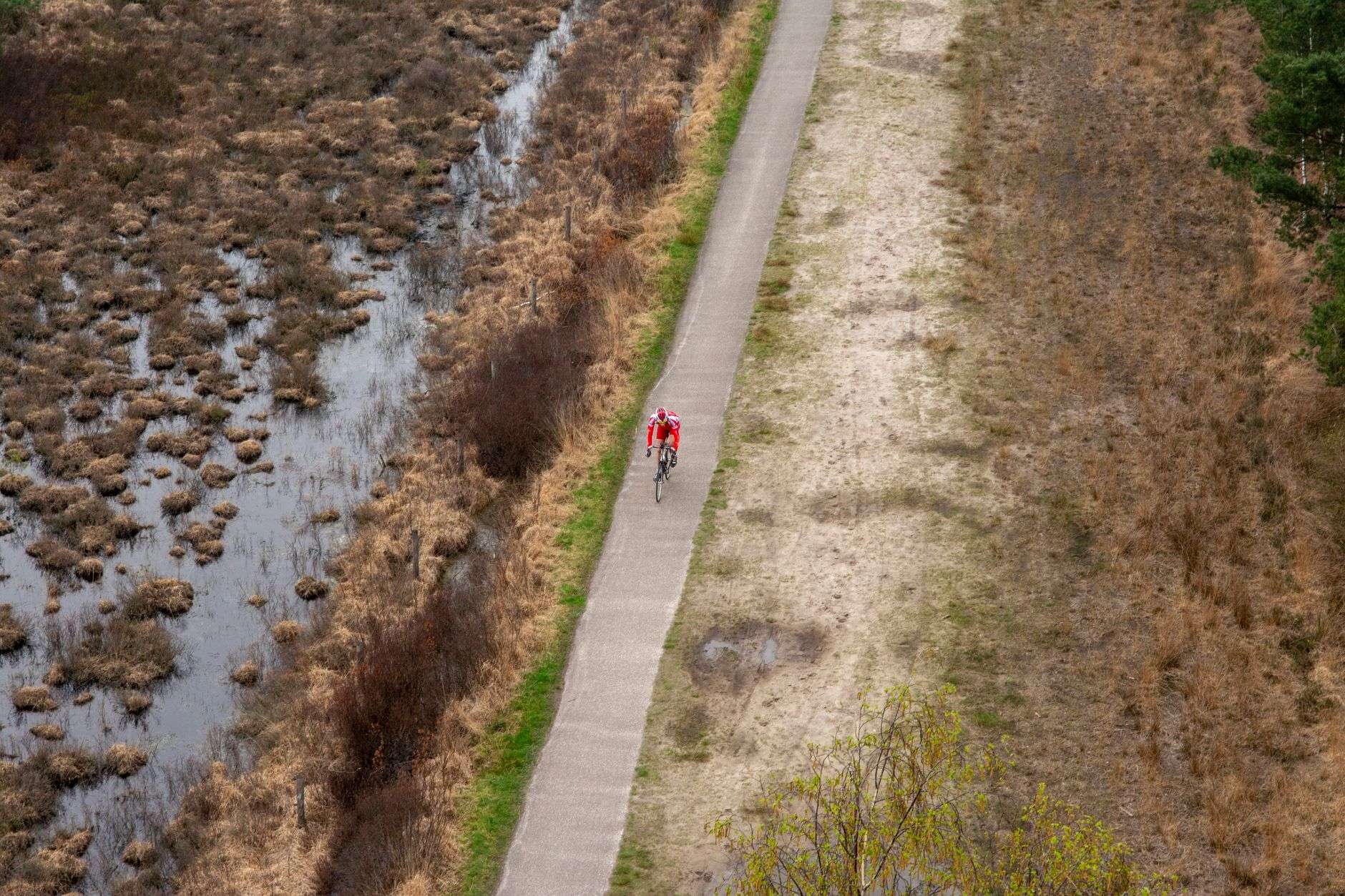 A paved recreational trail winding through a coastal landscape
