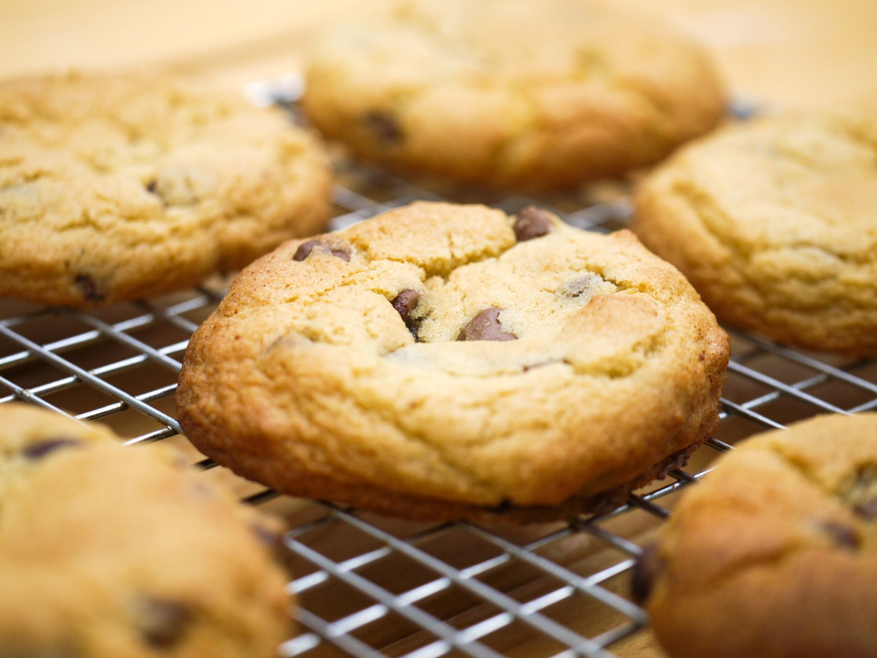 Freshly baked chocolate chip cookies cooling on a rack