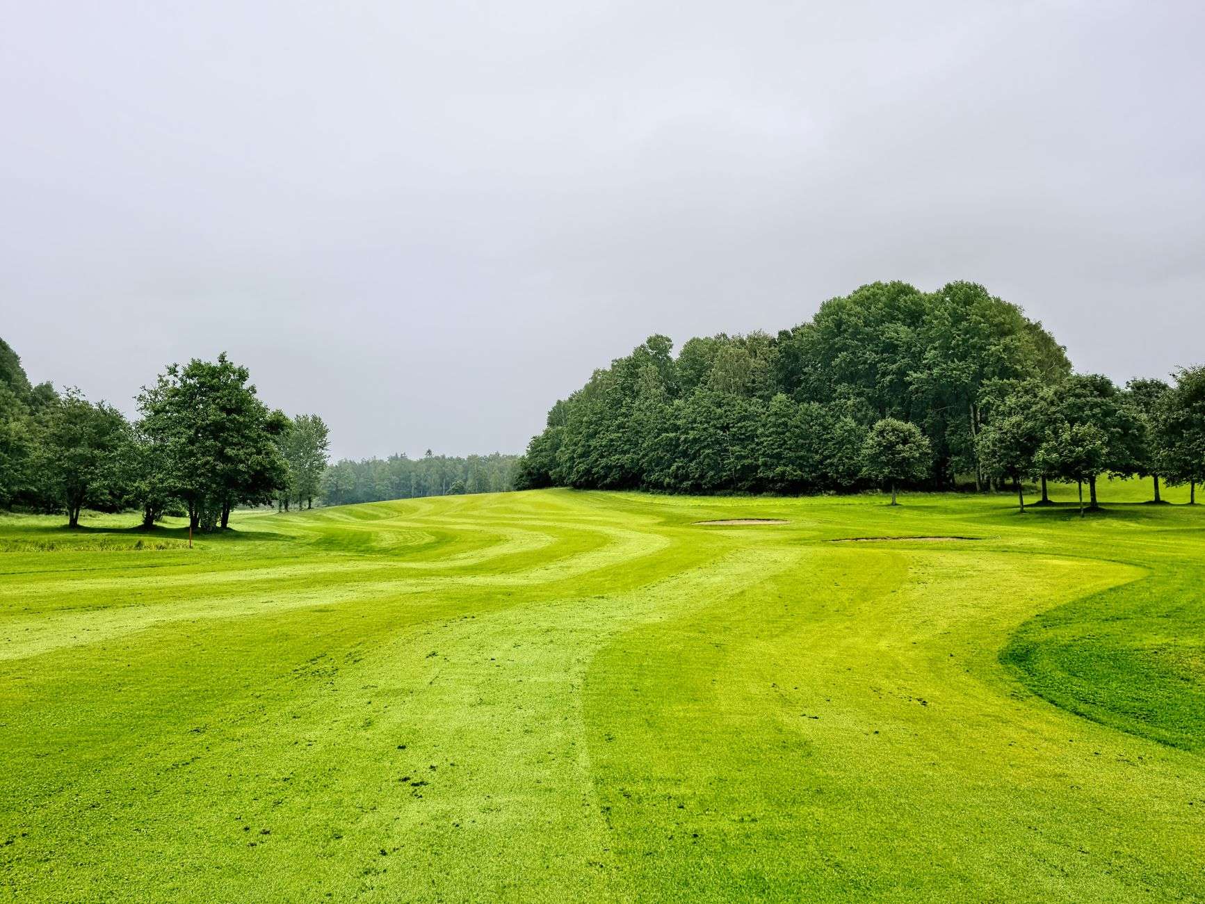 A golf course fairway and green, illustrating new course openings and renovations in the region