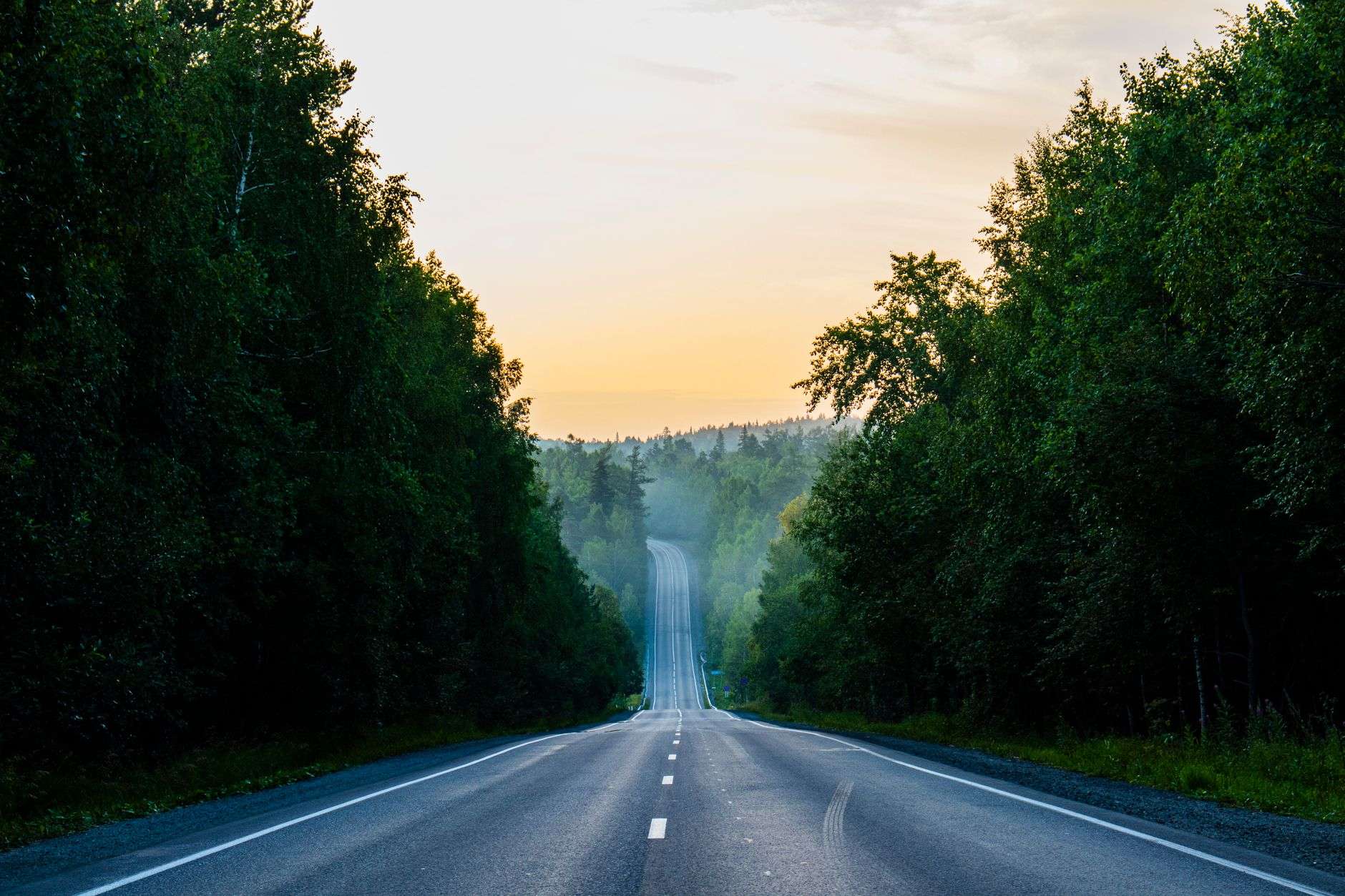 Two-lane rural road lined with trees at dawn