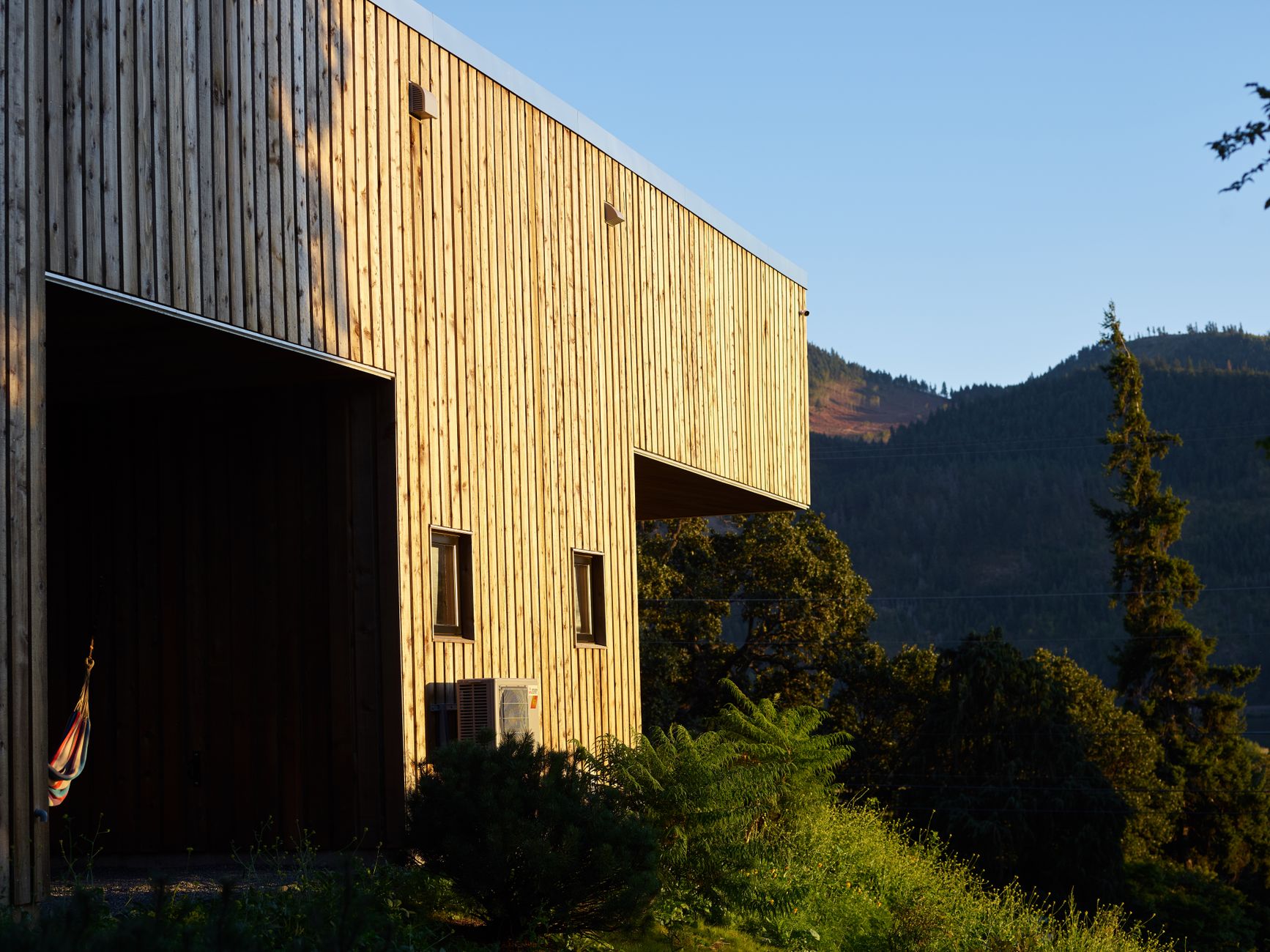 A contemporary wood-clad building surrounded by native trees and plants