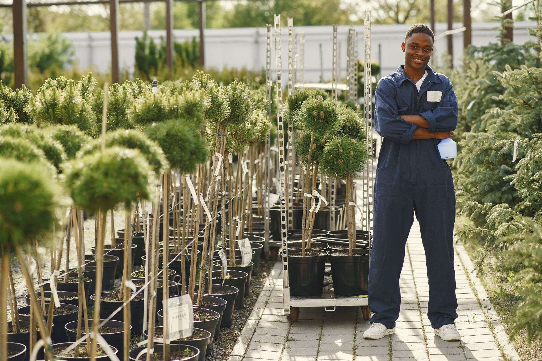 Rows of potted plants and hanging greenery inside a nursery greenhouse