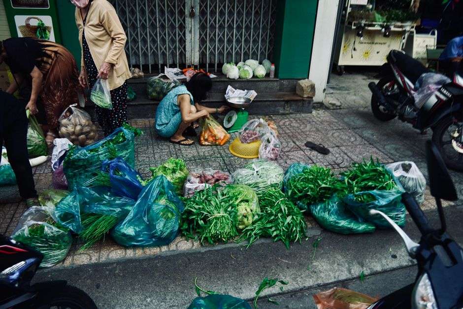 Fresh vegetables and plants displayed at a roadside produce market
