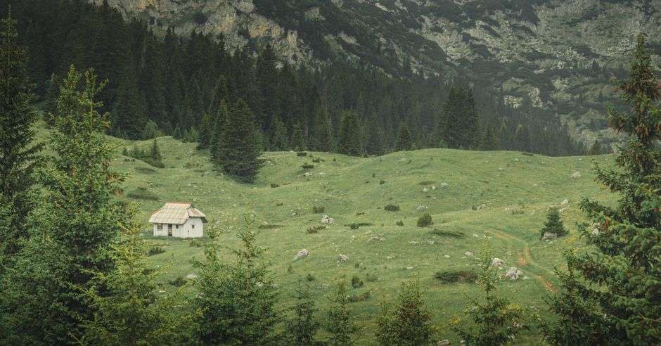 A tiny cottage surrounded by tall trees in a forest