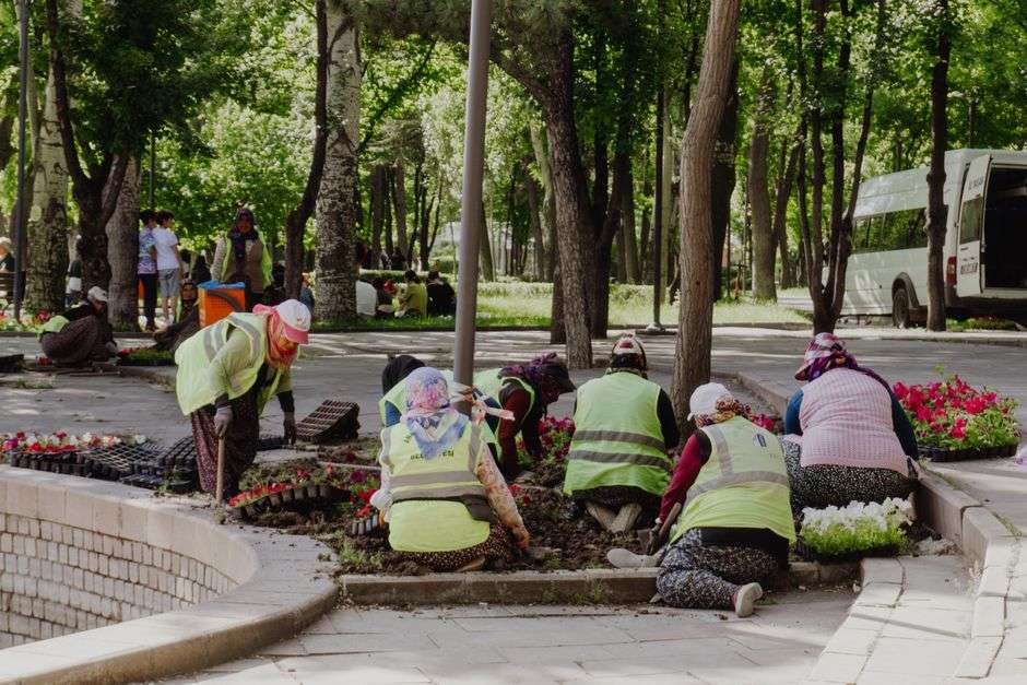 Volunteers tending raised garden beds at a community garden
