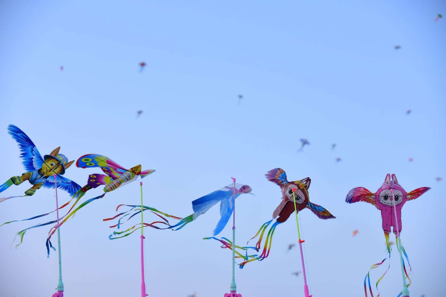 Several brightly colored kites fly high against a clear blue sky