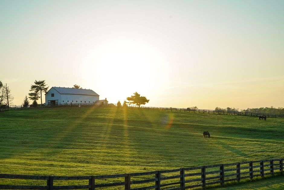 Horses grazing in a green fenced pasture next to a barn on a horse farm