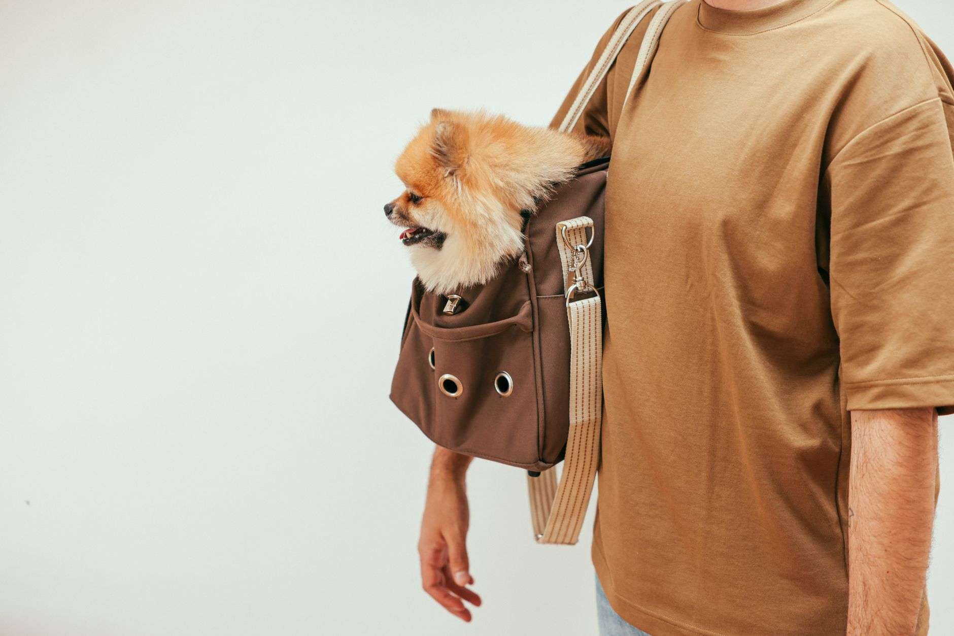 A pet carrier and supplies packed and ready for an evacuation