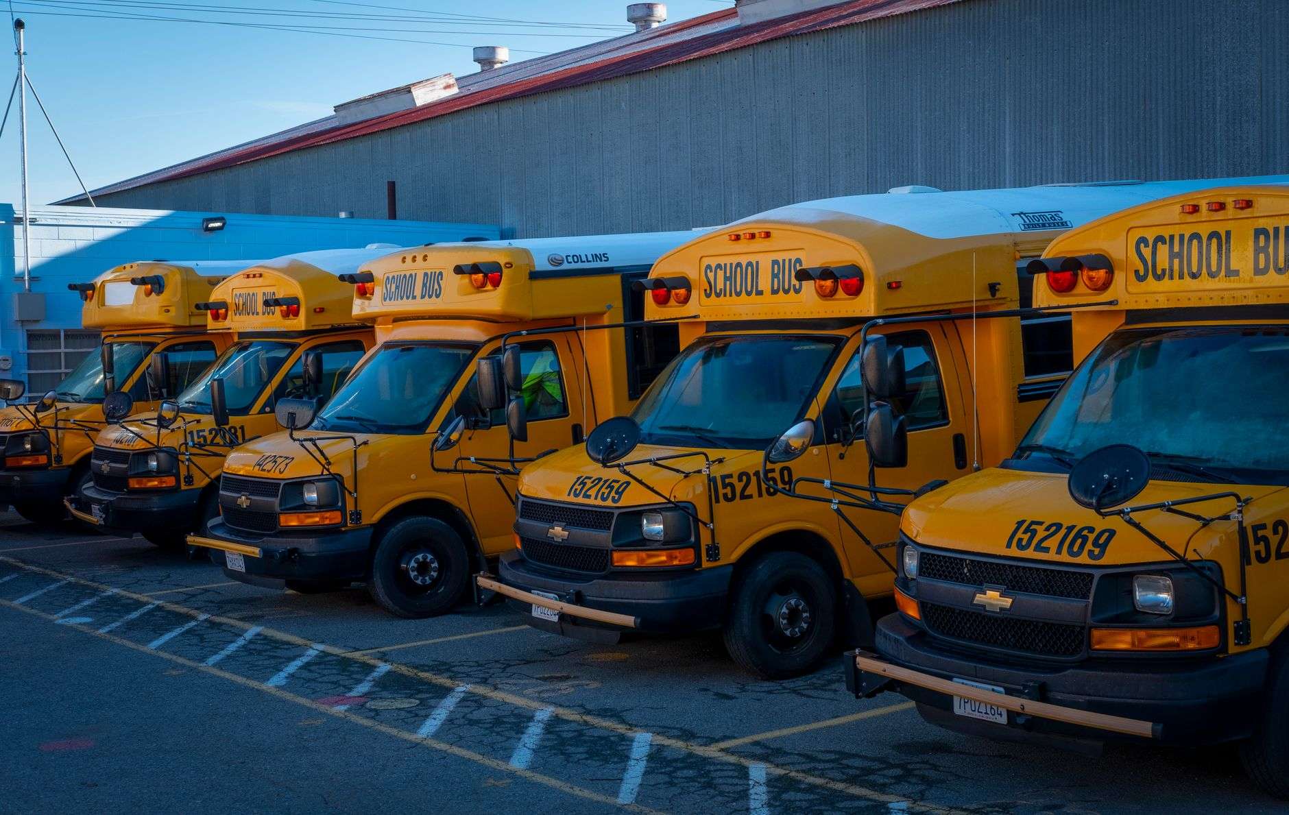 A row of yellow school buses parked in a lot