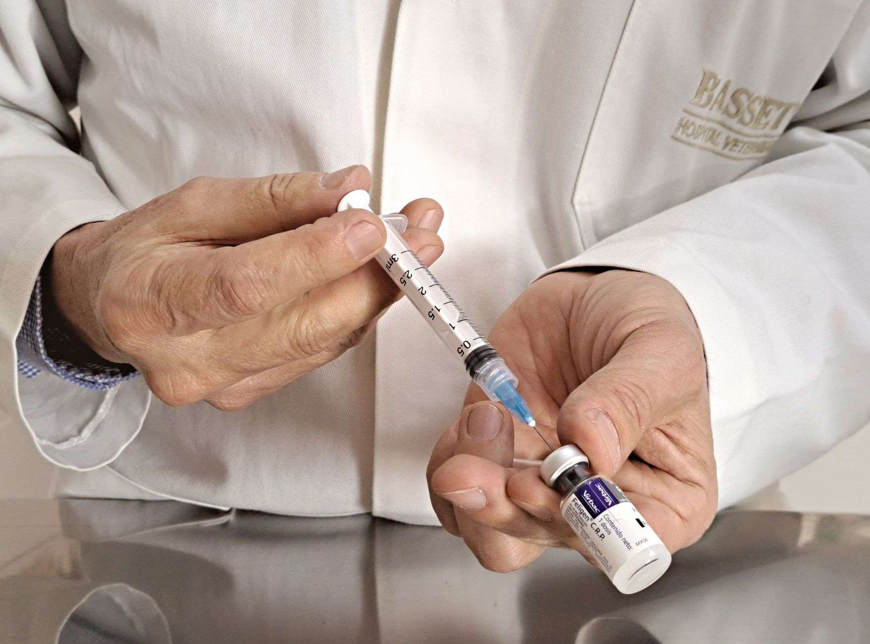 A veterinarian administering a vaccination to a dog